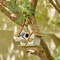 Set of 2 9.5''H Distressed Solid Wood Decorative Outdoor Garden Birdhouse with Natural Wood Slatted Roof and 3D Tree